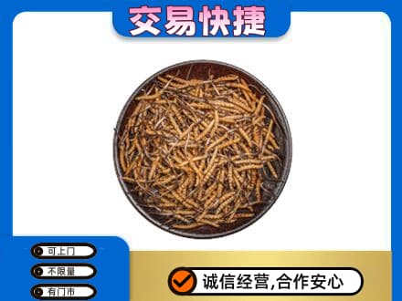 凤翔县高价回收散虫草